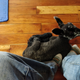 Illustration for article titled Not a Good Lamb...